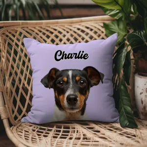 Custom Pet Throw Pillow Cover (no pillow insert)