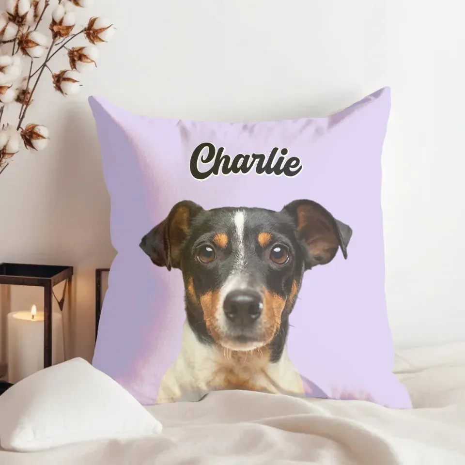 Custom Pet Throw Pillow Cover (no pillow insert)