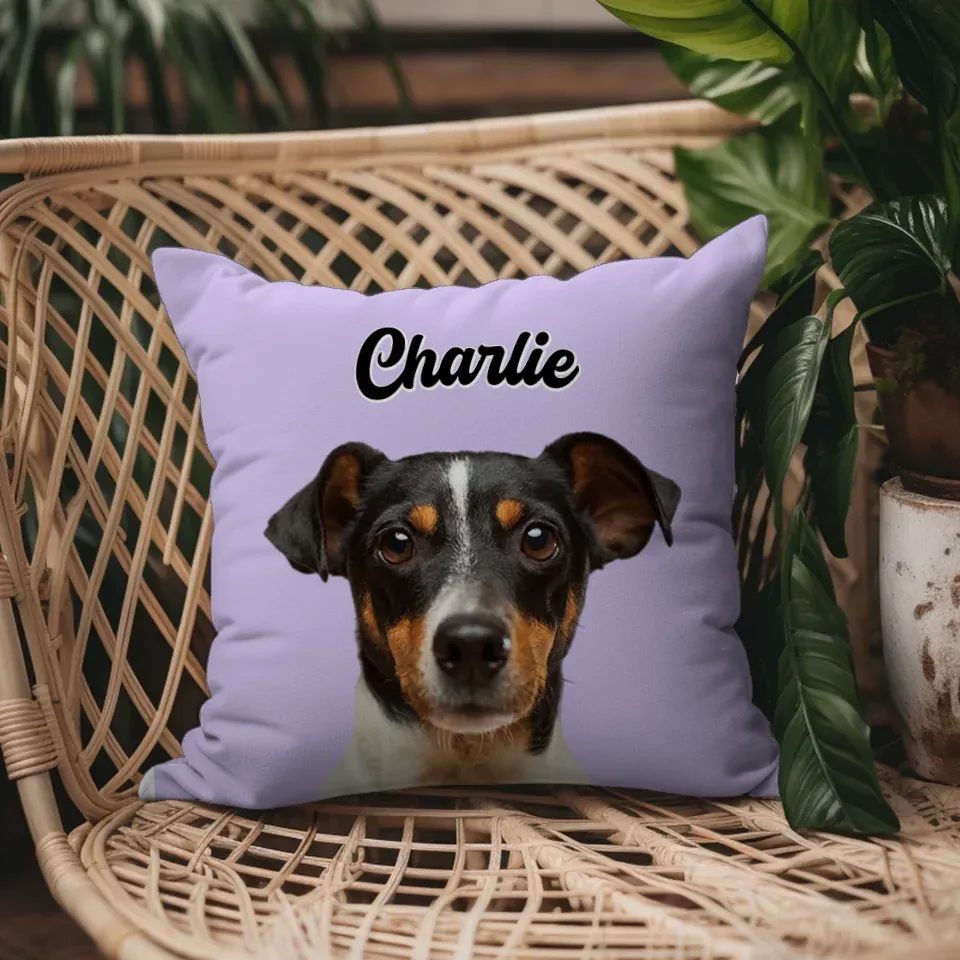 Custom Pet Throw Pillow Cover (no pillow insert)