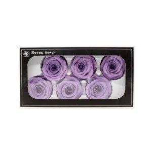 FOREVER ROSES 6PCS LEVANDER 6CM