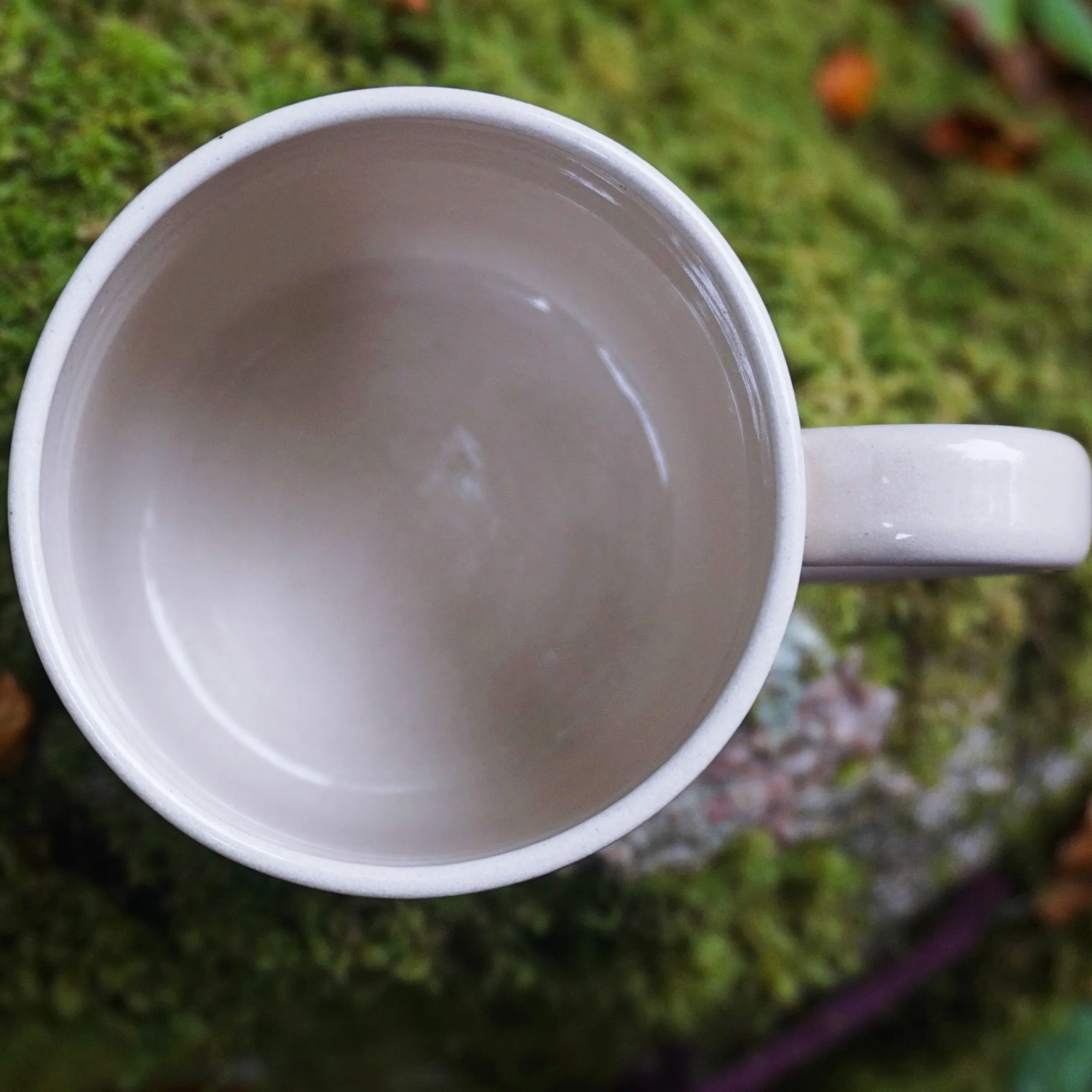 Irish Red Fox Stoneware Mug