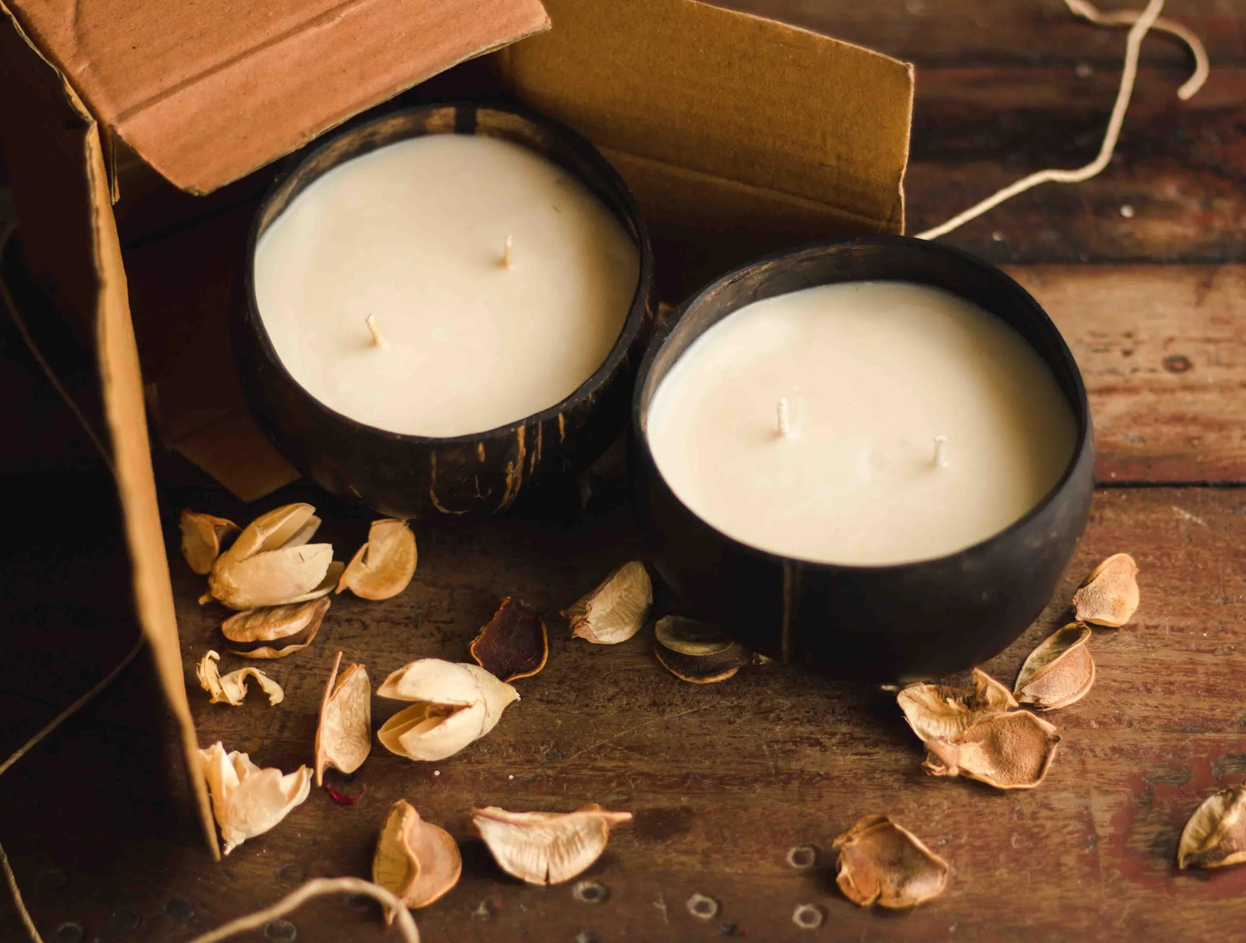 Light Jewels Coconut Shell Candle | Naturally Scented Candles | Eco Friendly Pure Natural Coconut Candle (Caribbean Escape) | Set of 2