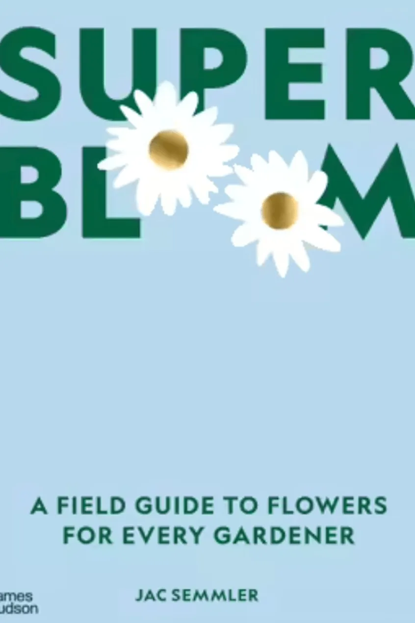 Super Bloom