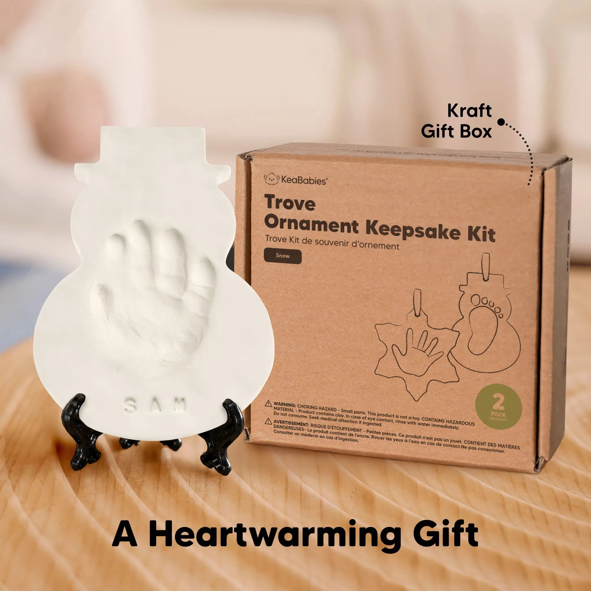 Trove Ornament Keepsake Kit (Snow, Multi-Color)