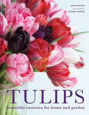 Tulips by Jane Eastoe